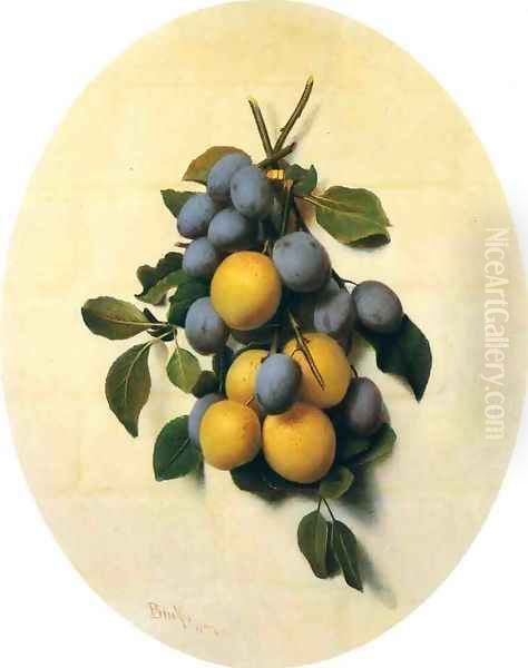 Plums - view 1
