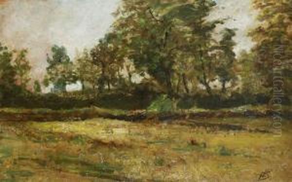 Tree Landscape - view 1