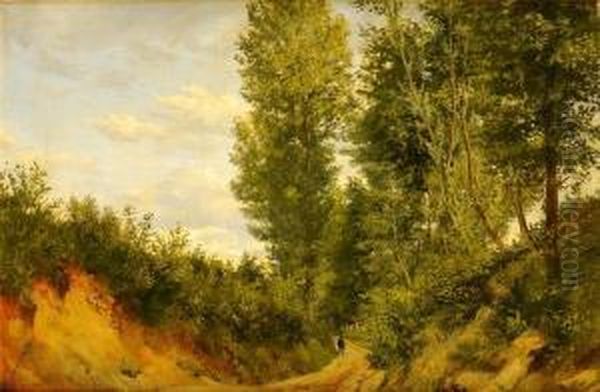 Femme Sur Un Chemin - view 1