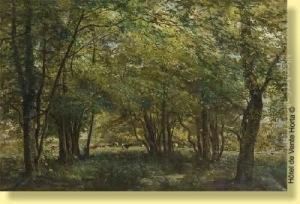 Troupeau Dans Une Clairiere Troupeau Dans Une Clairiere