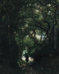 Paysage Sous Bois - A Horserider On A Path In A Dense Forest