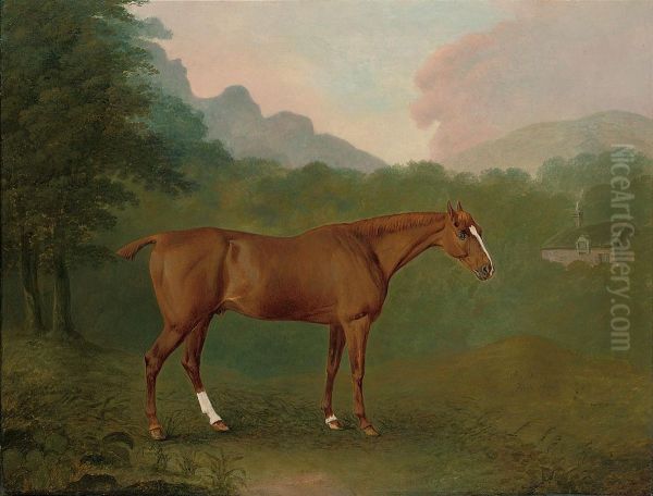 A Chestnut Hunter In A Wooded Landscape - view 1