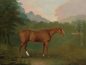 A Chestnut Hunter In A Wooded Landscape