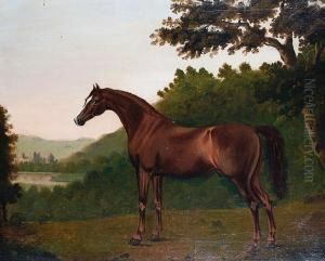 Portrait Of A Chestnut Hunter