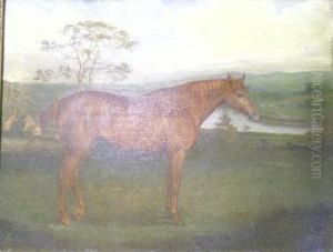 In A Landscape