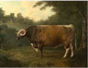 A Longhorn Bull Belonging To Thomas Princep In Front Of Croxall Church
