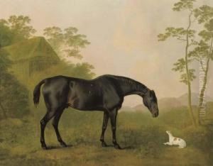 A Black Hunter And A Dog In A Landscape