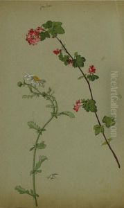 Instruments De Musique Et Fleurs Coupees Dans Un Paysage by Pierre Bourgogne