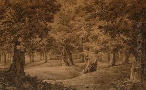A Shady Grove. by James, Rev. Bourne