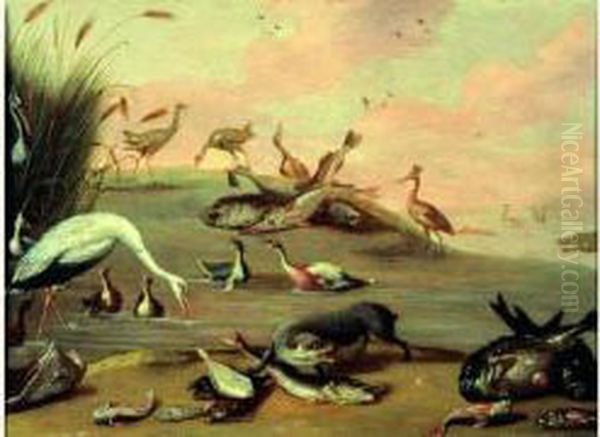 Poissons Et Oiseaux Sur Un Rivage - view 1