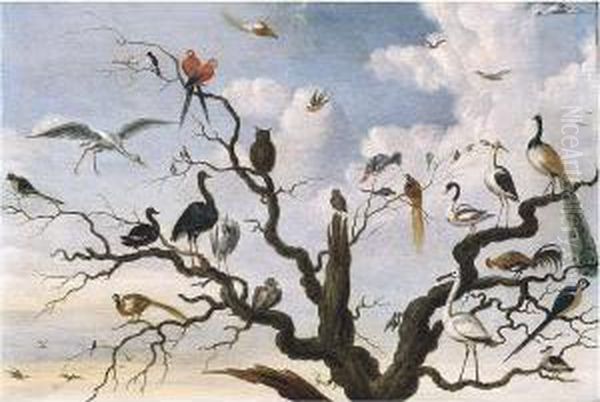 A Pheasant, A Peacock And Other Birds In A Tree - view 1