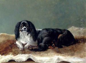 Two Kings Charles Spaniels by Ashburnham H. Bulley