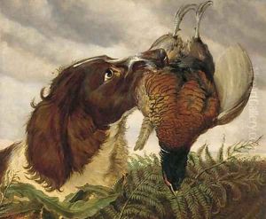 A spaniel with a pheasant by Ashburnham H. Bulley