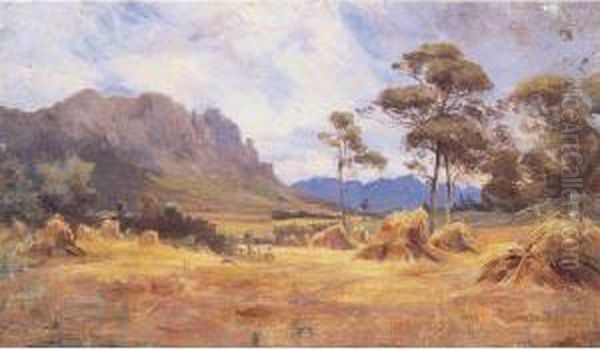 Hay Making In A Tasmanian Landscape - view 1