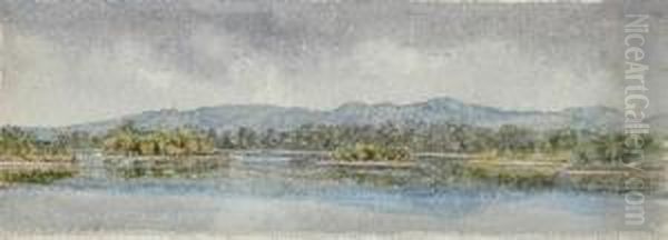 Tamar, Neargeorgetown - view 1