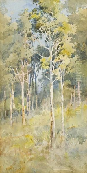 Saplings - view 1