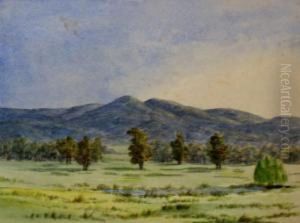 Pond And Pasture