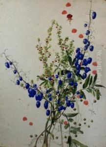 Flower Study by Emma Minnie Boyd