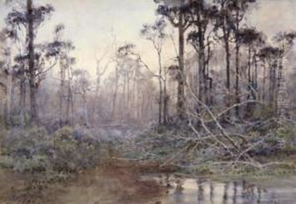Water's Edge - view 1