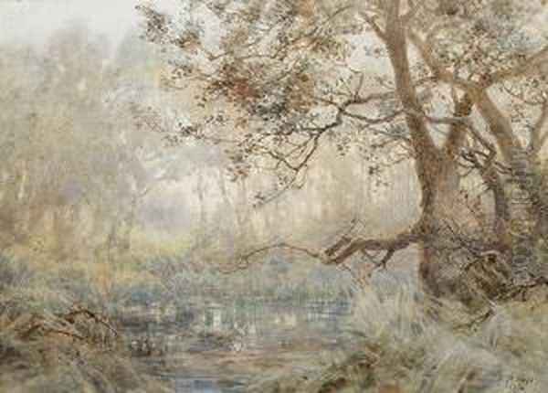 The Heron's Pool - view 1