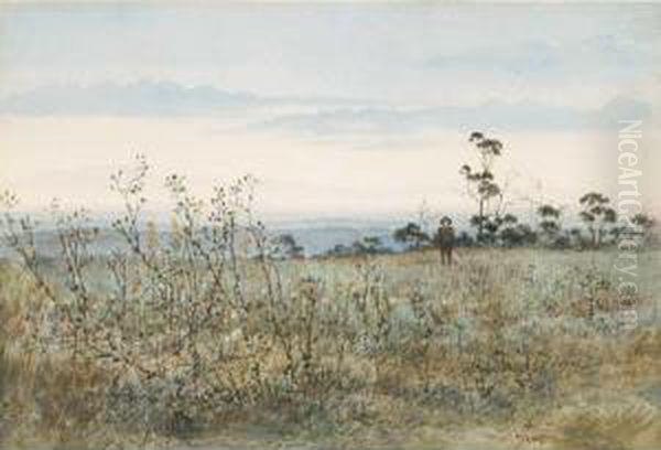 The Quail Shooter - view 1
