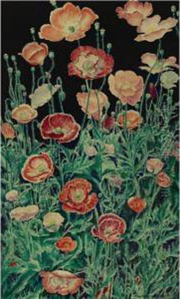 Shirley Poppies - view 1