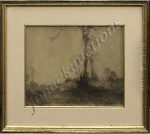The White Gum by Theodore Penleigh Boyd