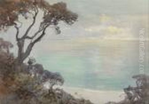 Coastal View - view 1