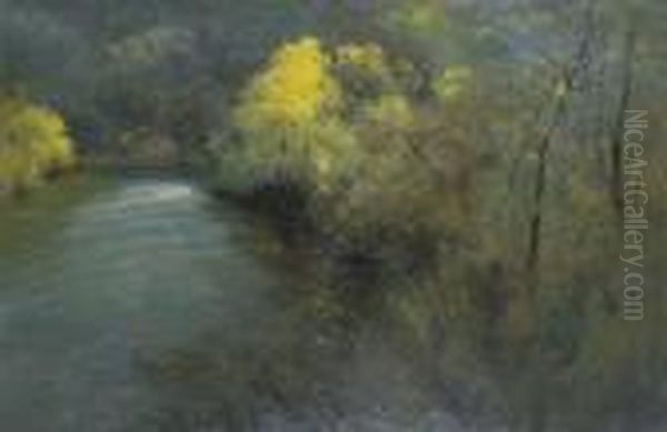 The River - view 1