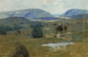 Across The Plain (yarra Valley)