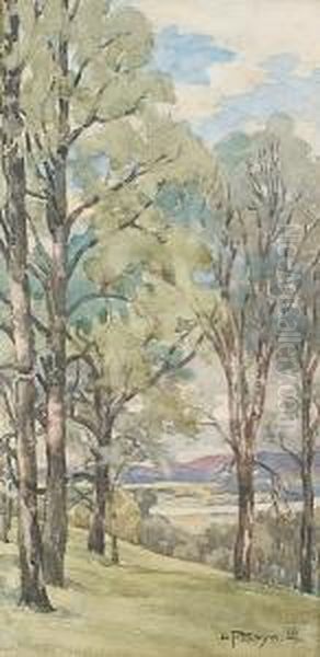 River Landscape - view 1