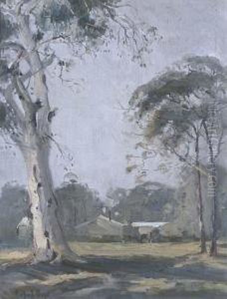 Morning Mists - view 1
