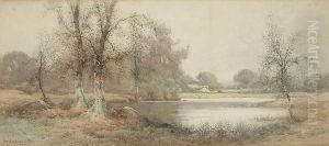 Silver Birches By A River