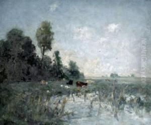Cattle In A Meadow