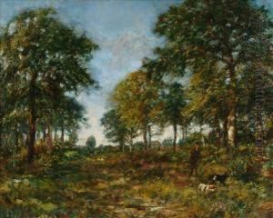 Walking And Dogs In A Woodland Ride