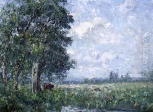 Cattle In A Meadow