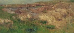 Dunenlandschaft Dunenlandschaft