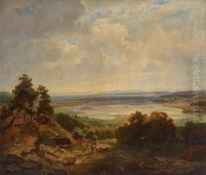 Paysage Avec Troupeau De Moutons En Avant-plan