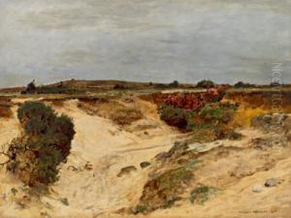 "sandgrube" - view 1