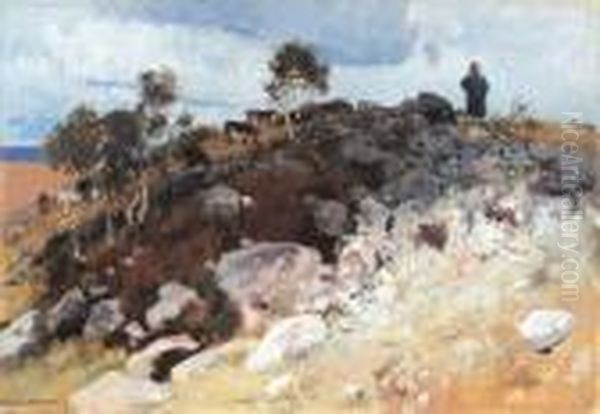 Der Heideschafer - view 1