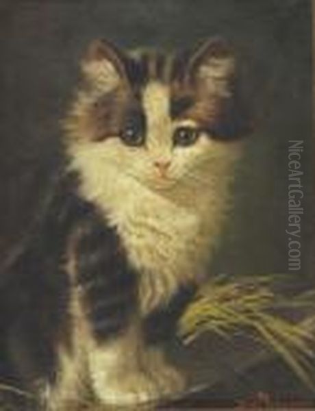Portrait Of A Kitten. - view 1