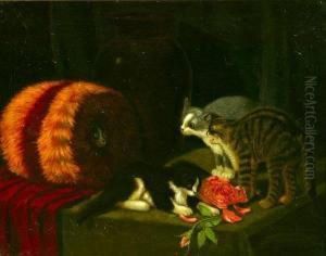 Kittens With Muff And Roses