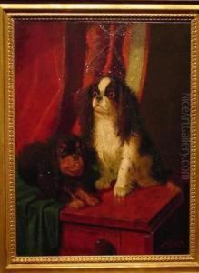 Toy Spaniels