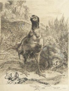 Couple De Faisans by Felix Bracquemond
