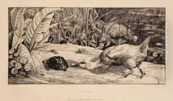 L'inconnu - view 1