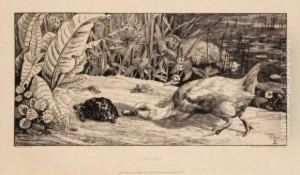 L'inconnu by Felix Bracquemond