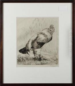 Cockerel by Felix Bracquemond