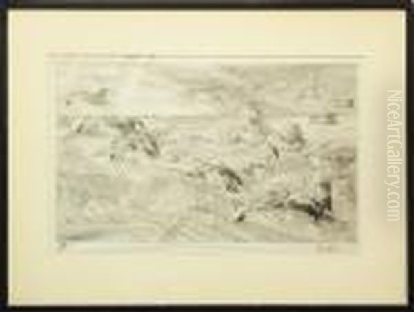 Waterfowl In Flight - view 1