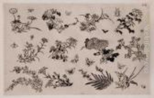 Service De Table De La Maison Rousseau : Douze Fleurs Et Douzeinsectes by Felix Bracquemond