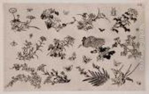 Service De Table De La Maison Rousseau : Douze Fleurs Et Douzeinsectes by Felix Bracquemond